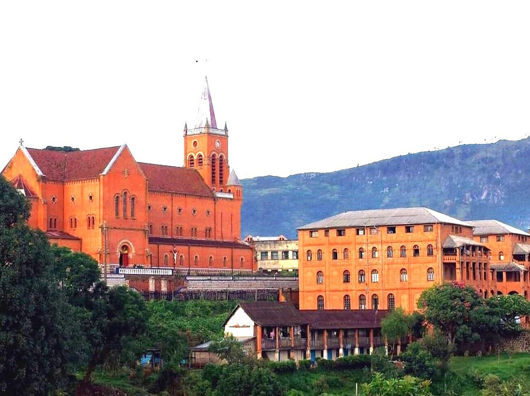 Cathedral of the Immaculate Heart of Mary景点图片