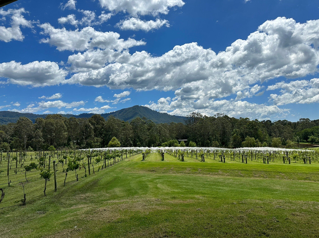 Shire Shuttle Bus-克罗纳拉必去景点