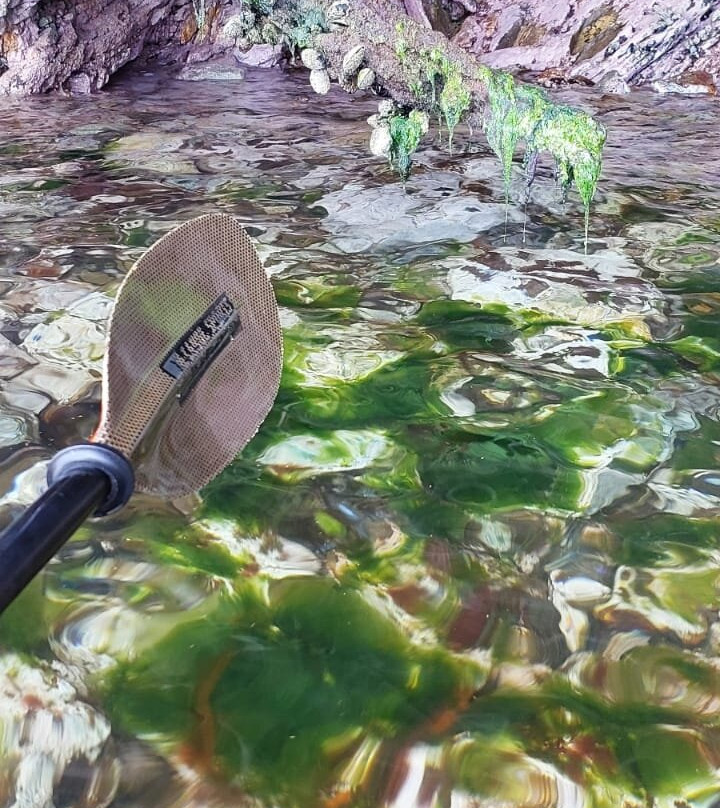 Phil's Sea Kayak景点图片