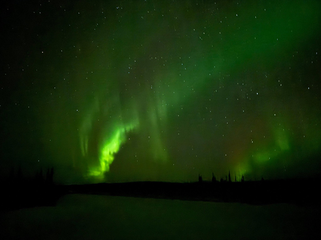 阿拉斯加野生景观之旅-北极必去景点
