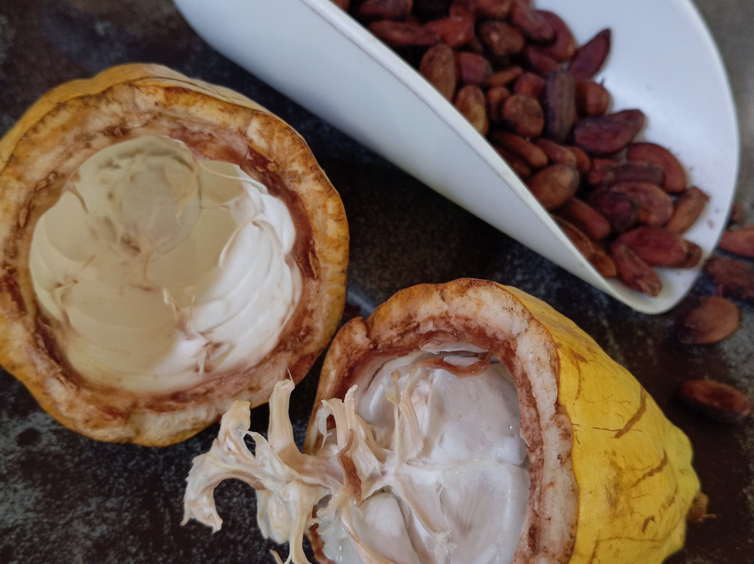 Gwakako-Pointe-Noire必去景点