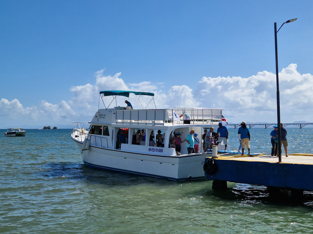 Whale Samaná With Kim-Santa Barbara de Samana必去景点