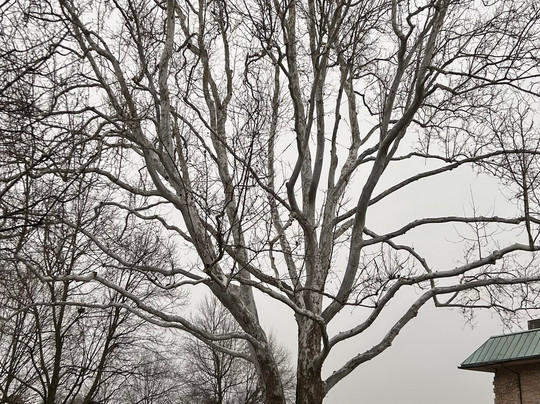 Horse Country-列克星敦必去景点