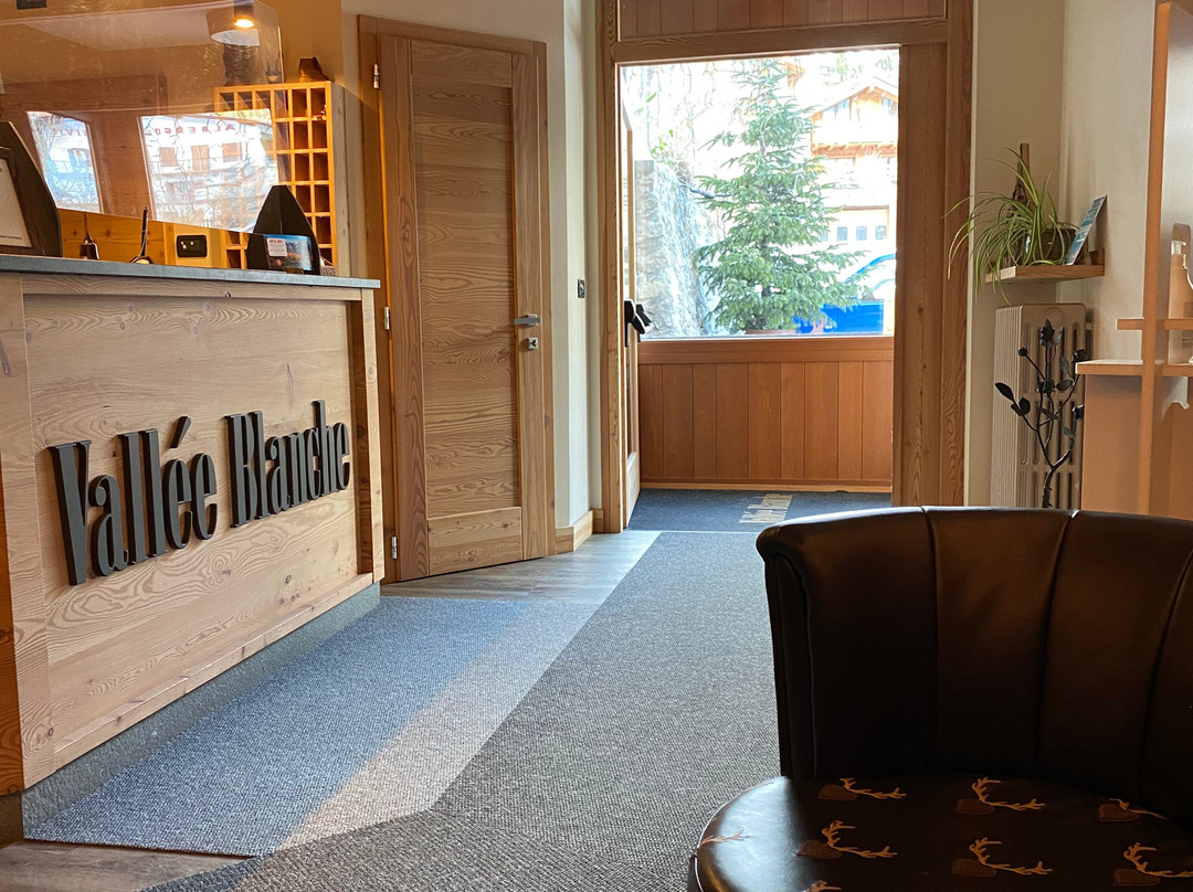 Hotel La Vallee Blanche主图
