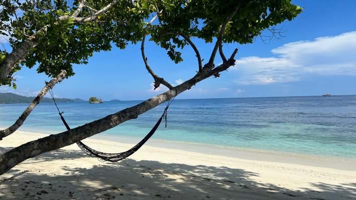 Raja Ampat Biodiversity Nature Resort-泳池