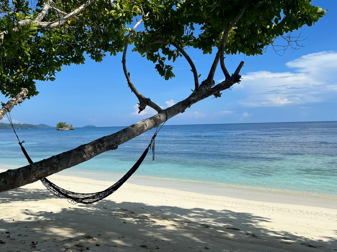 Raja Ampat Biodiversity Nature Resort主图