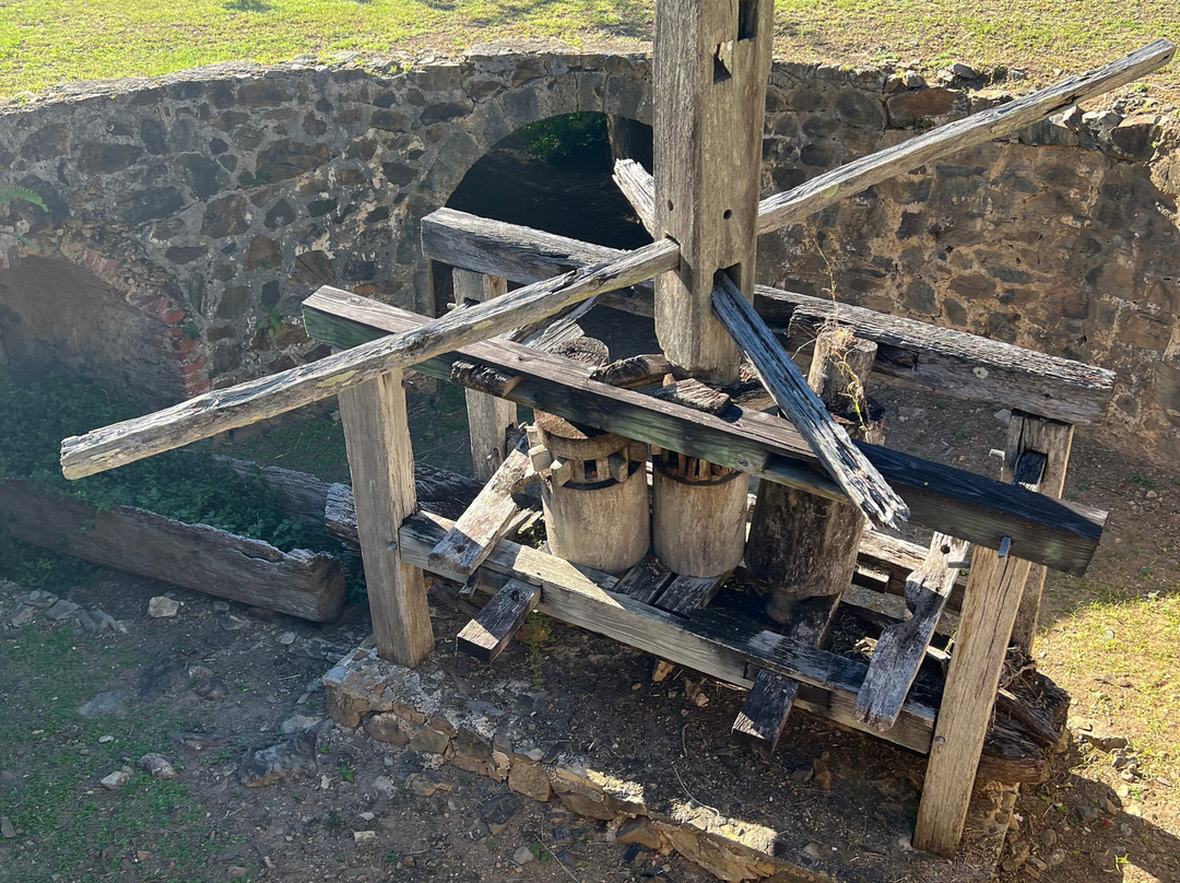 Estate Mount Washington-Frederiksted必去景点