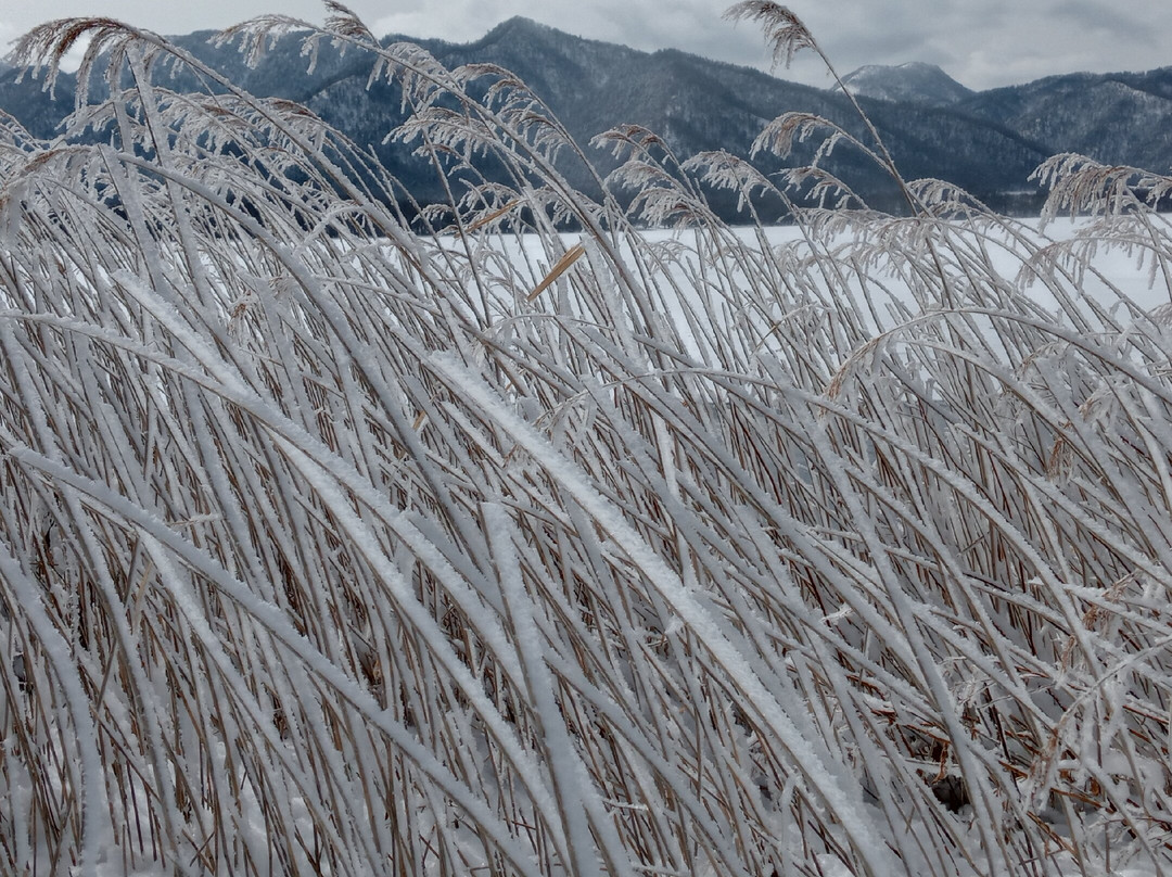 Kotan Onsen-弟子屈町必去景点