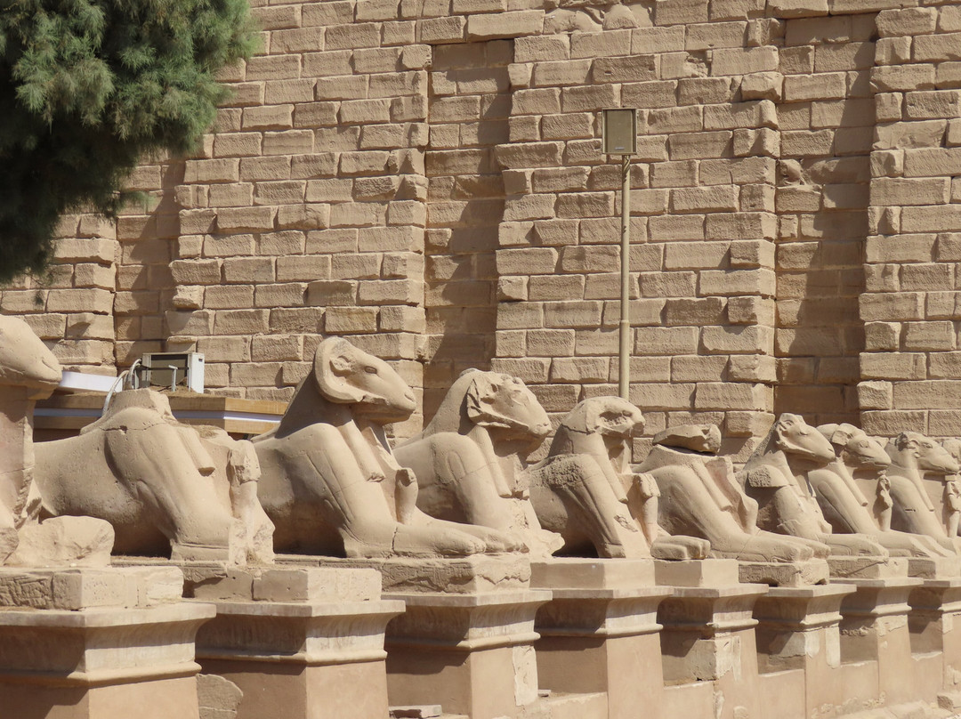 Avenue of Sphinxes景点图片