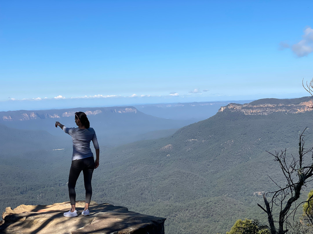 蓝山山脉酒店住宿-Leura Gardens Resort