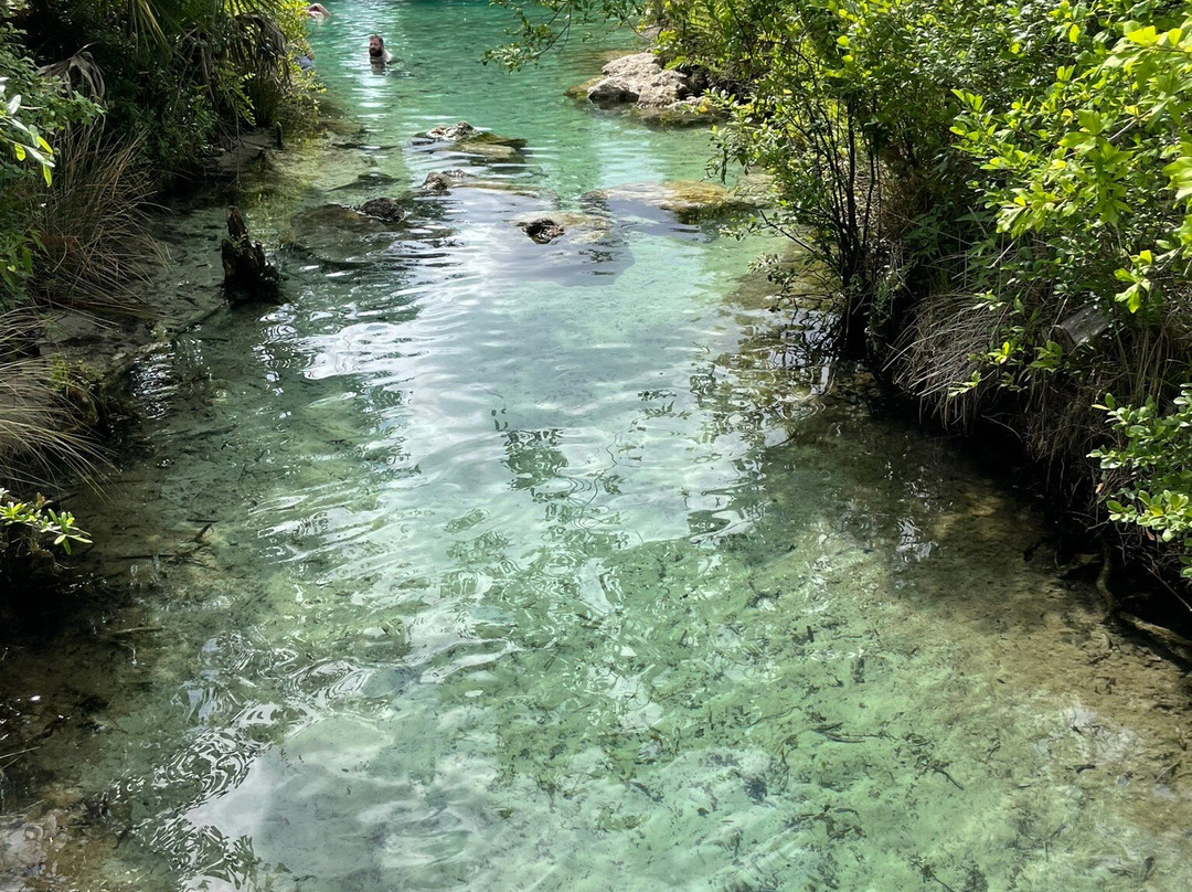 Pitt And Sylvan Springs Recreation Area景点图片