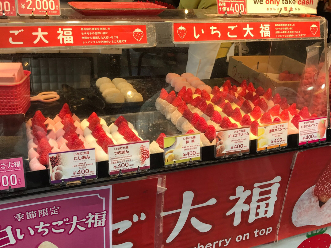 Japan Harmony Travels景点图片