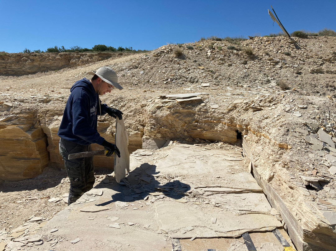 Ulrich's Fossil Gallery-Kemmerer必去景点