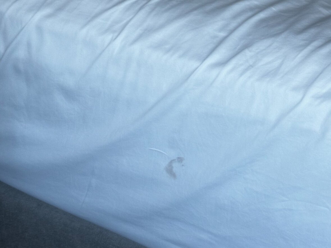 The Westin Edina Galleria主图