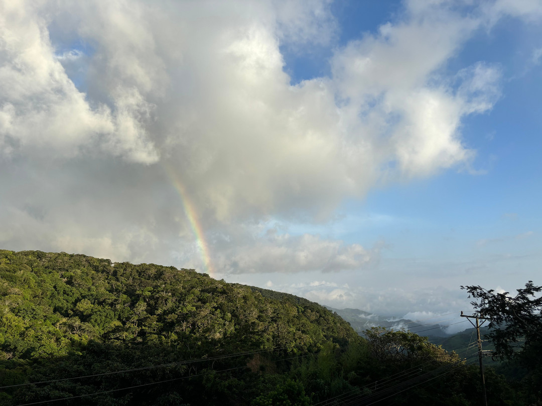 Camino Verde Bed & Breakfast主图