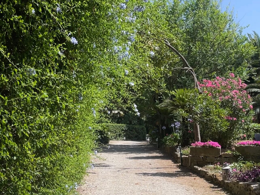 Le Sorelle - Palazzo Belmonte Cocktails And Bubbles-Santa Maria di Castellabate必去景点