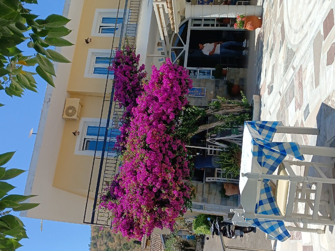 Imerolia Studios主图