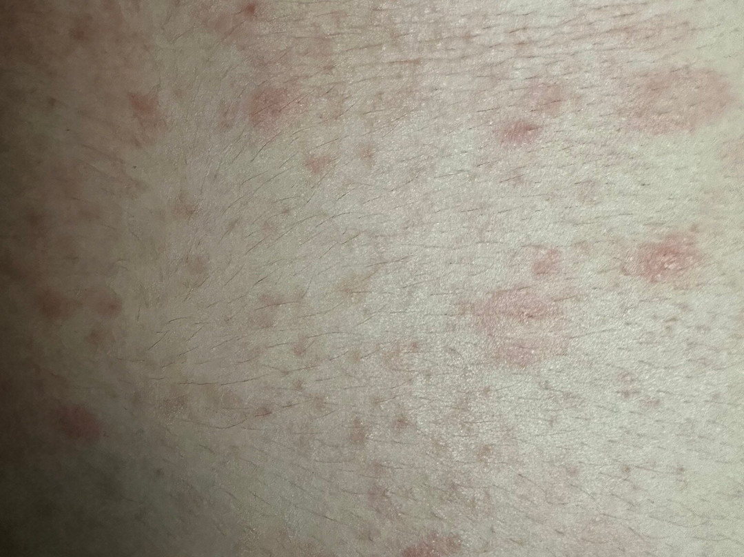 热迪罗马酒店主图