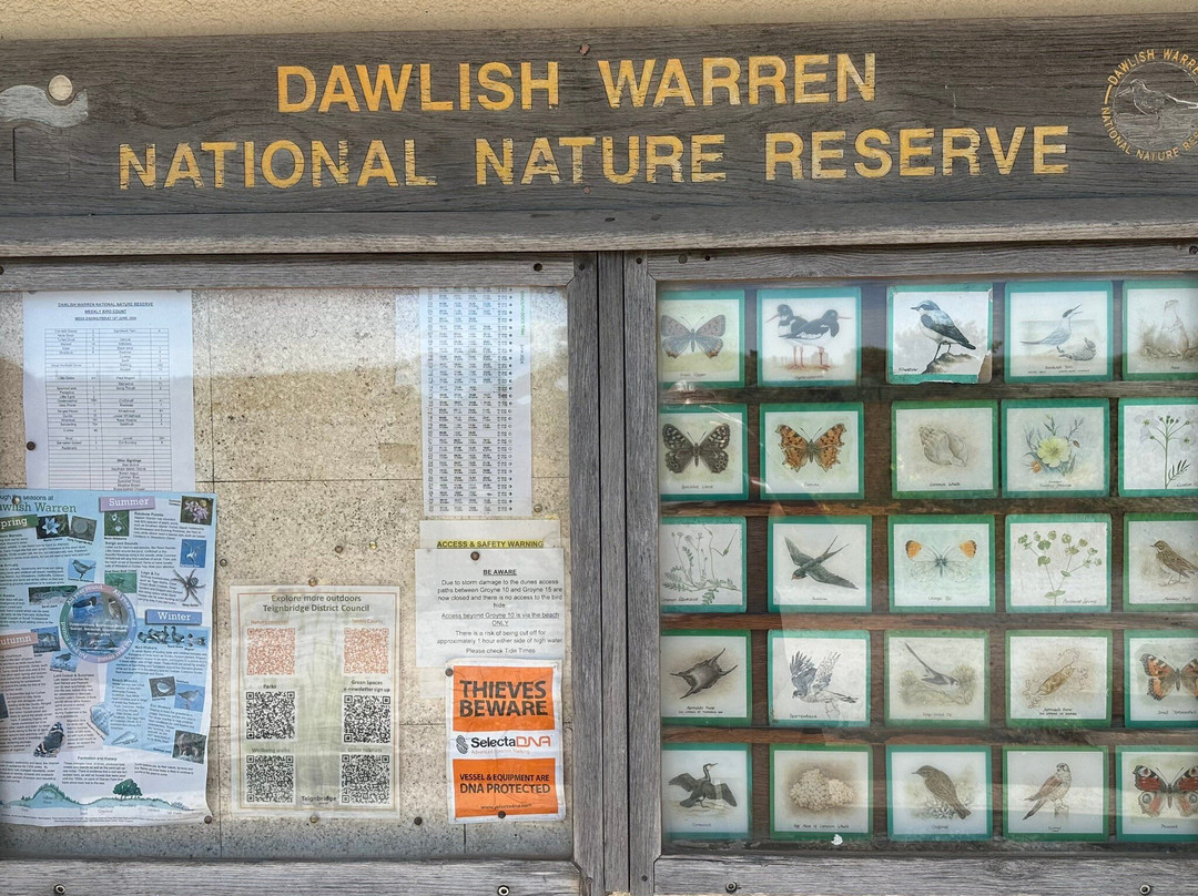 Dawlish Warren Nature Reserve-道利什必去景点