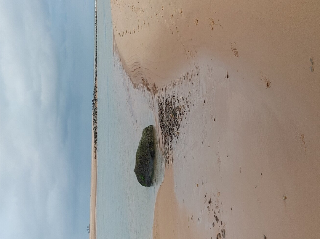 Newburgh Seals Beach-Newburgh必去景点