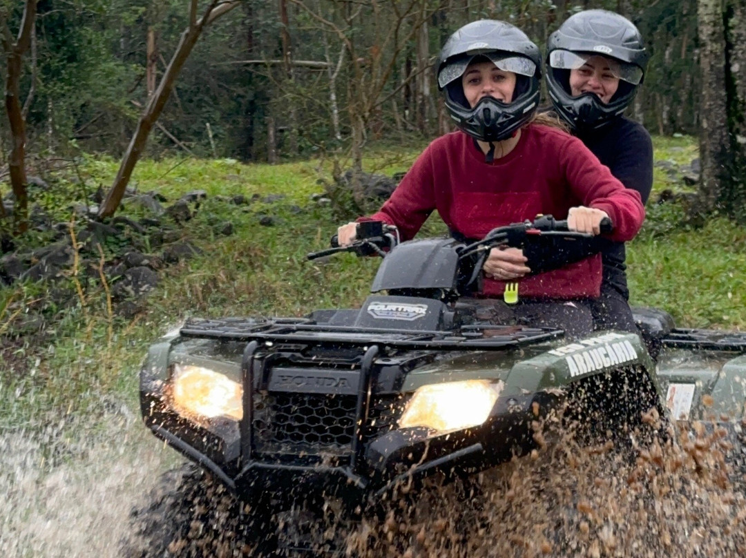 Graxaim do Mato-Praia Grande必去景点