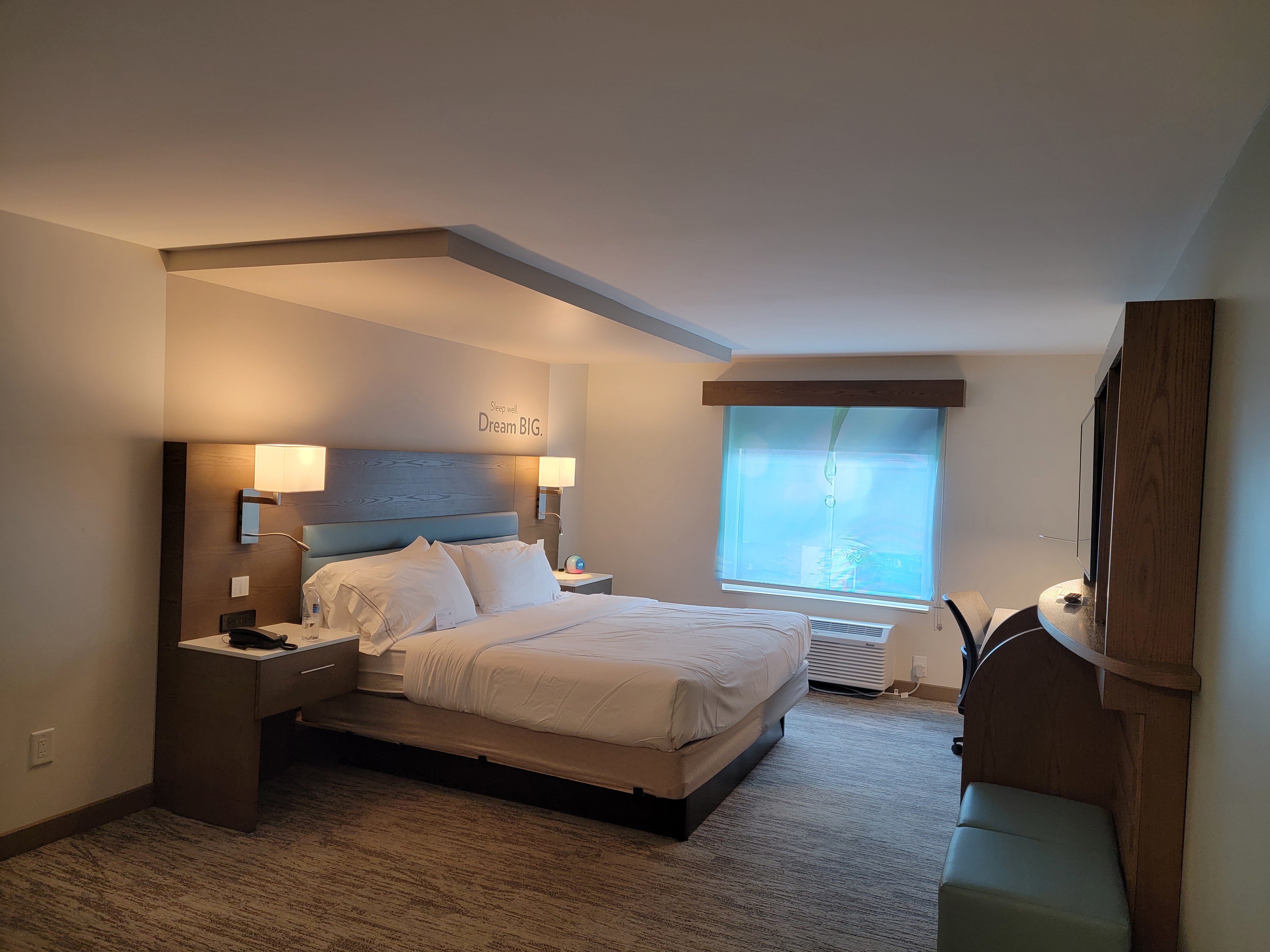 EVEN Hotel Ann Arbor S - University Area by IHG-客卧