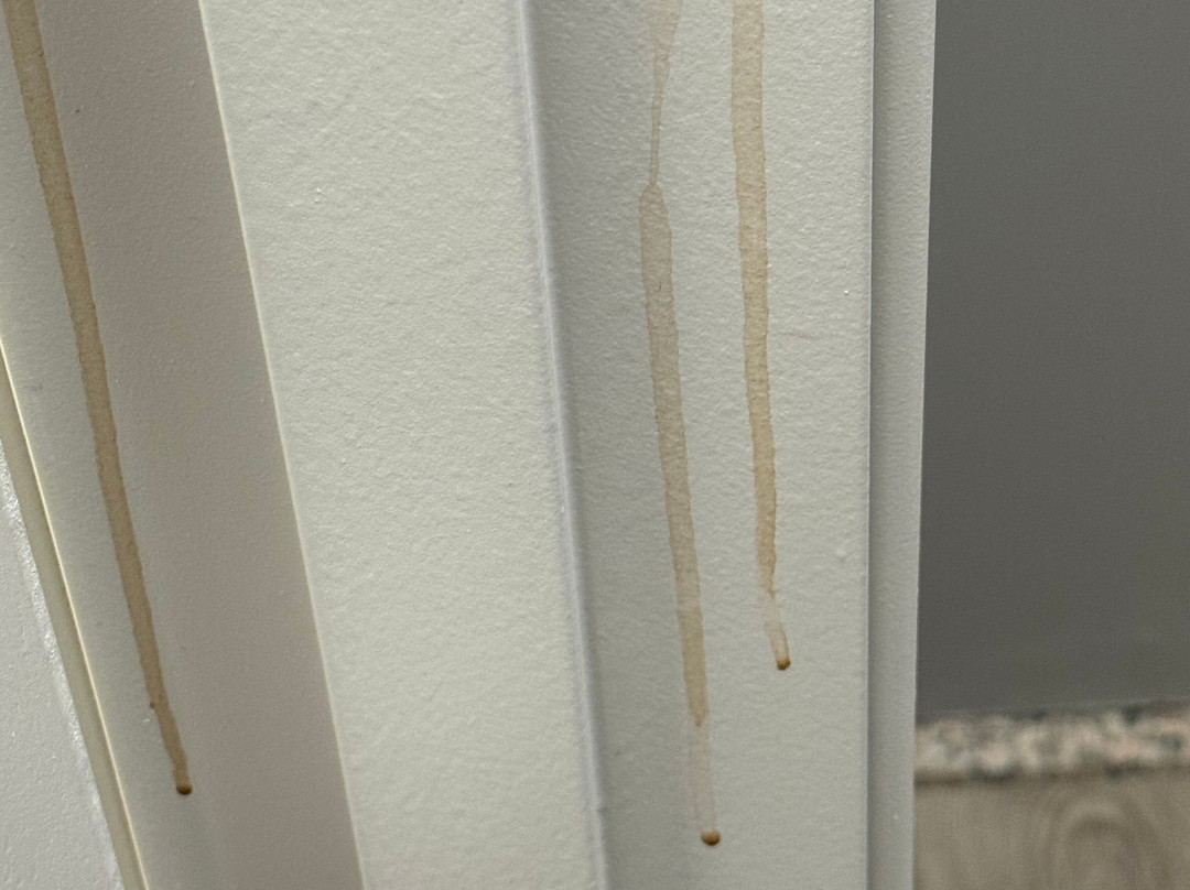 Comfort Inn Moline - Quad Cities主图