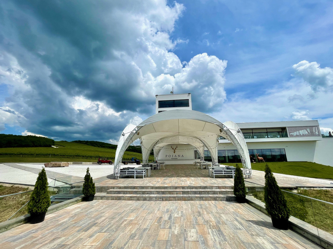 Poiana Winery-Ulmu必去景点