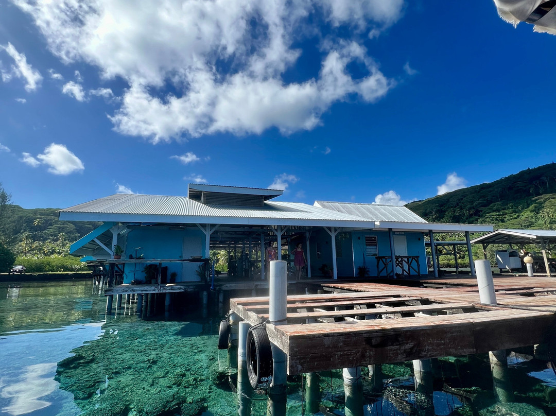Terainui Tours Excursions Tahaa-Haamene必去景点