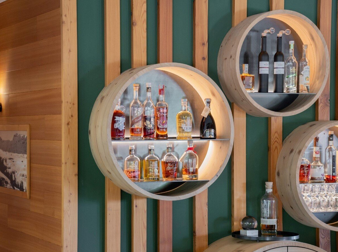 Berghotel Zorzi主图