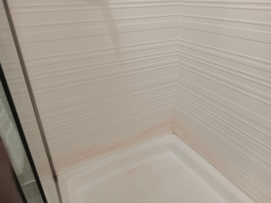 Avid Hotel Fort Wayne North By Ihg主图