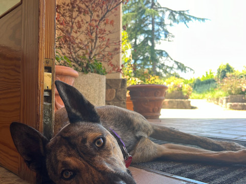 Ashiyana Spain-巴塞罗那必去景点