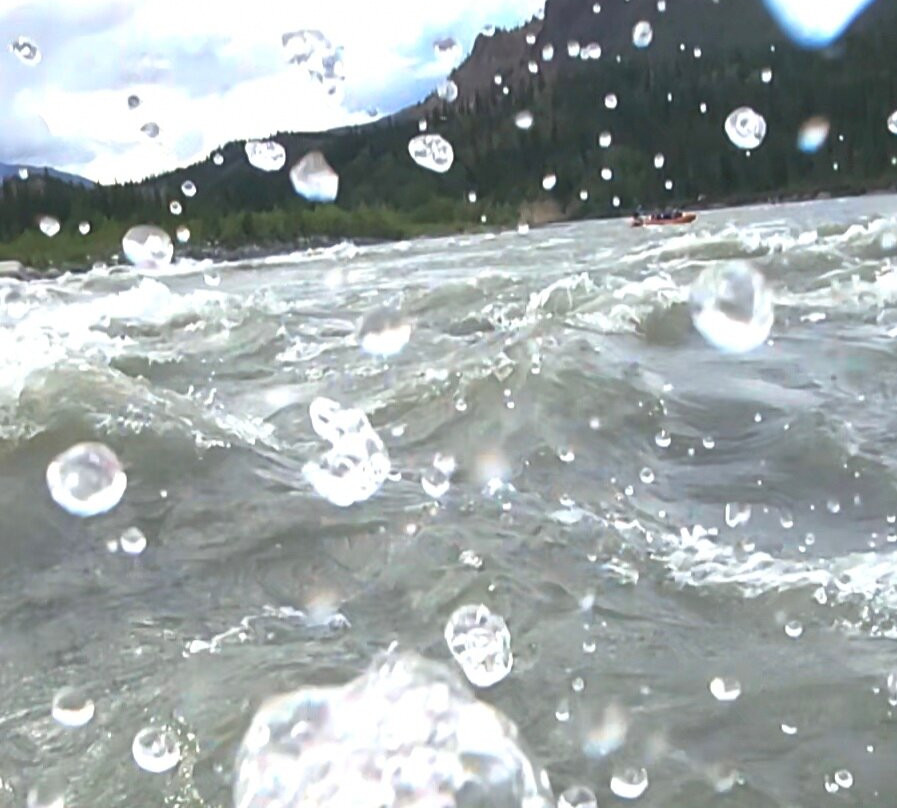 New Wave Advenutres-Denali Park必去景点