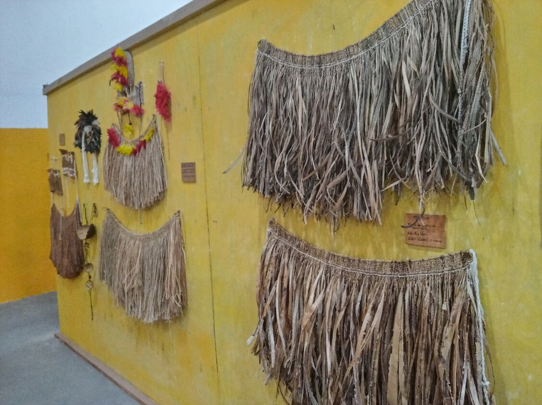 Museu Indigena Da Aldeia Pataxo景点图片