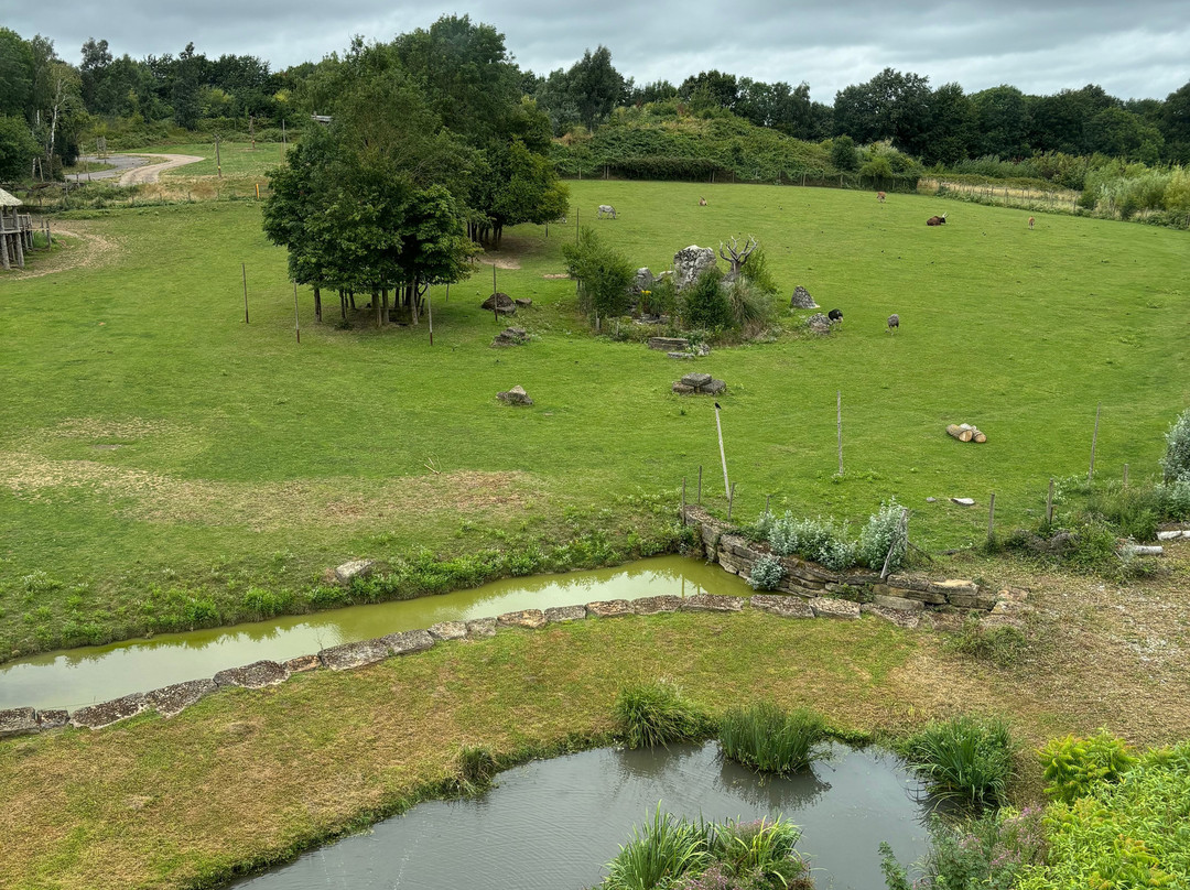 Chessington Safari Hotel主图