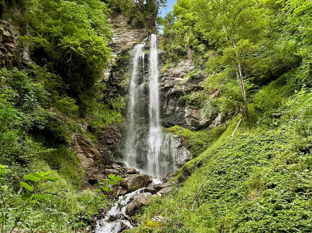 Finsterbach Wasserfälle景点图片