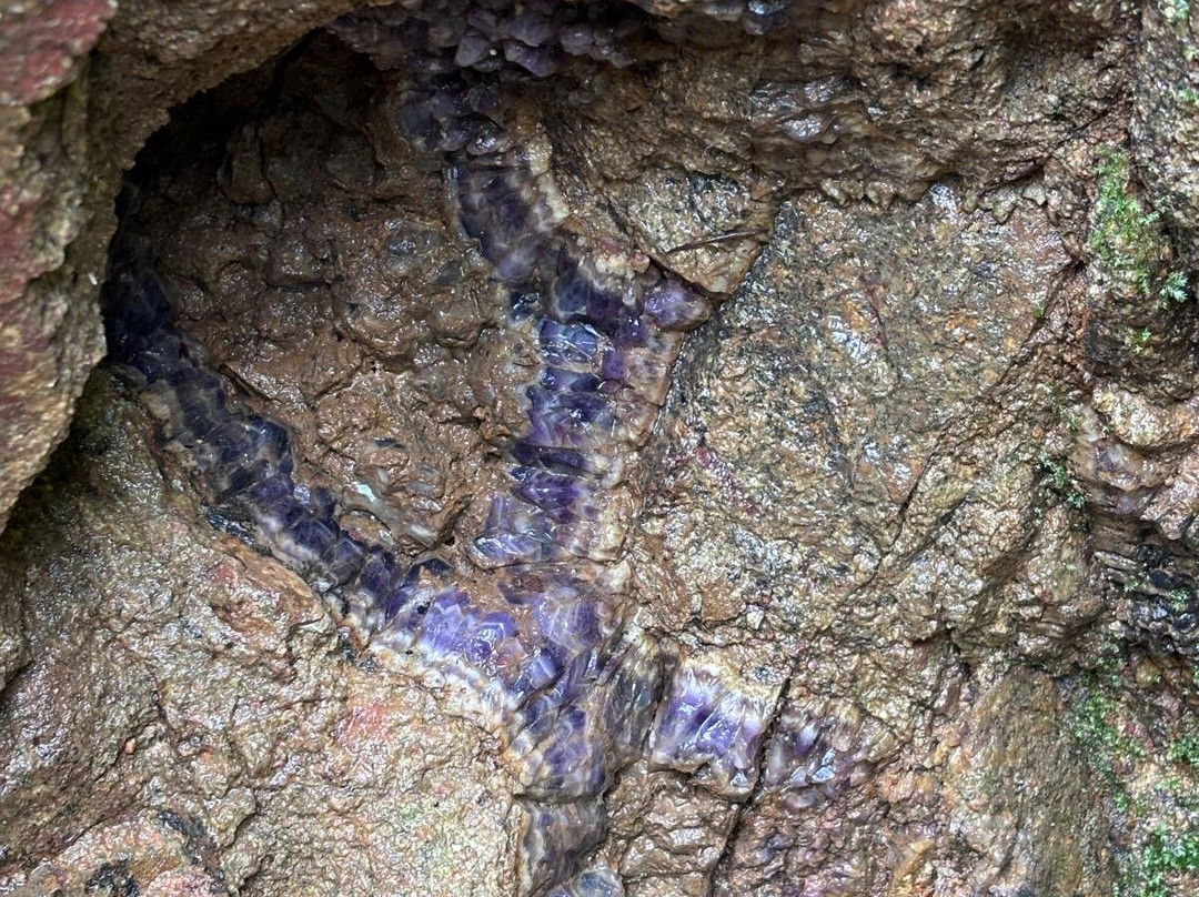 Amethystes d'Auvergne景点图片