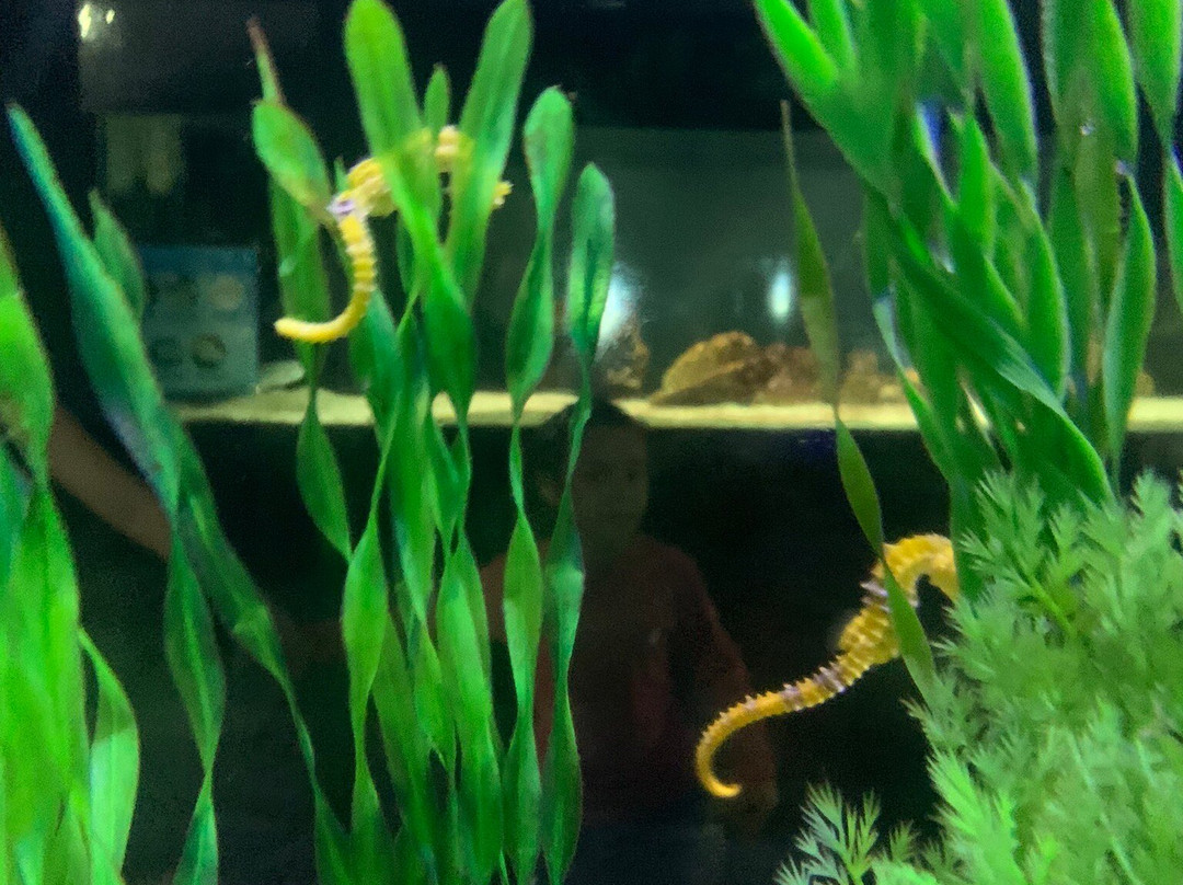 Aquário Natal-Extremoz必去景点