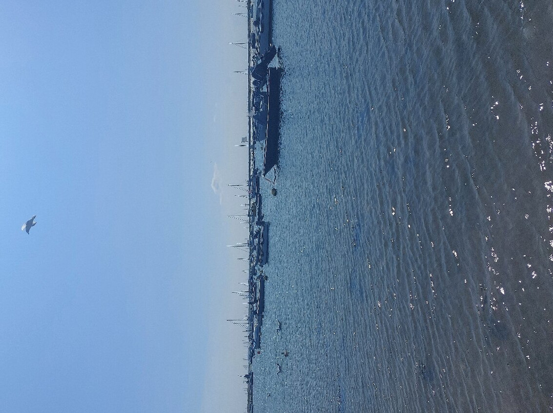 West Mersea Beach景点图片