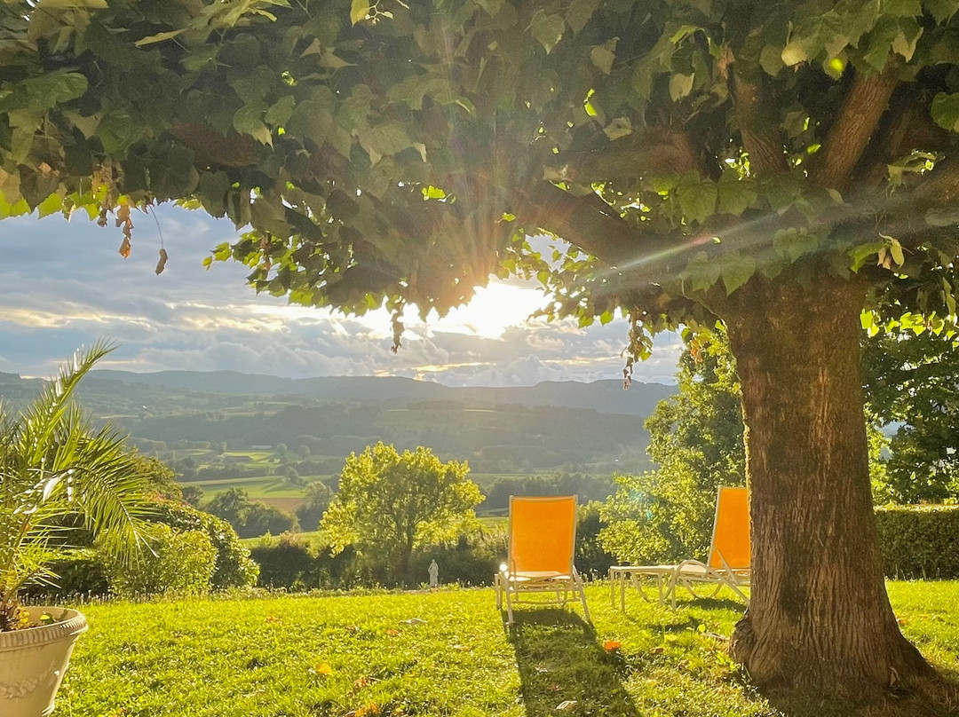 Domaine Des Bruyeres主图
