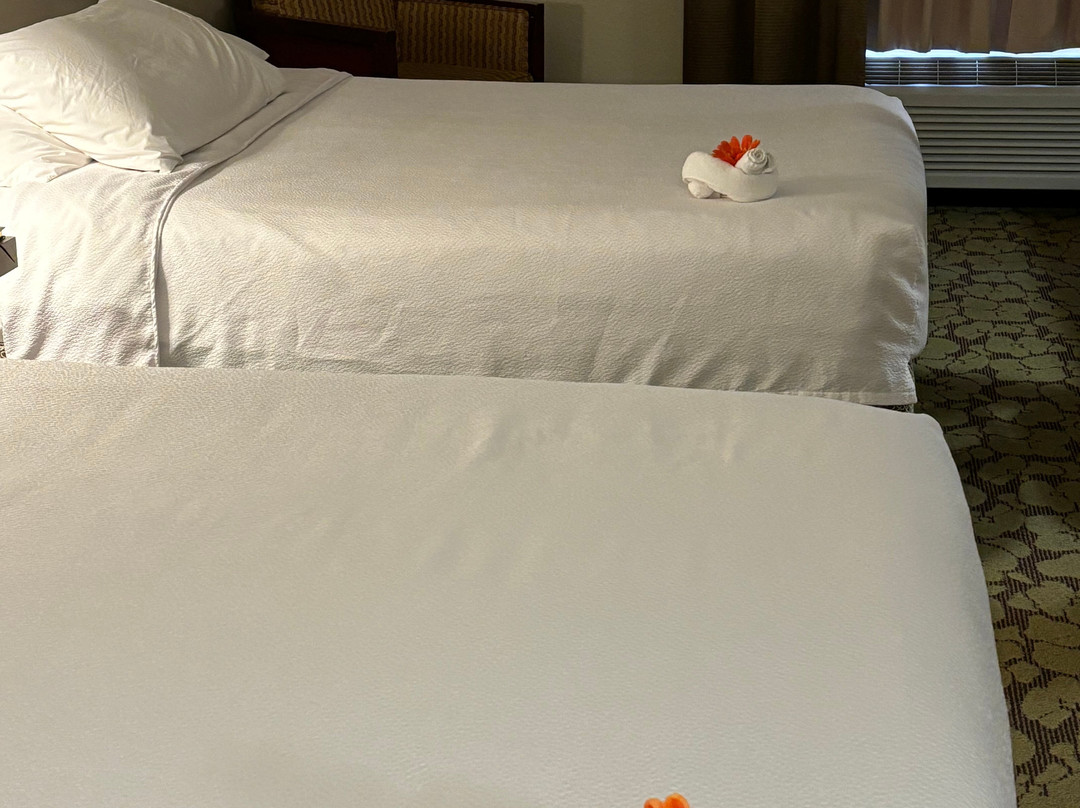 明尼阿波利斯伊根希尔顿花园酒店主图