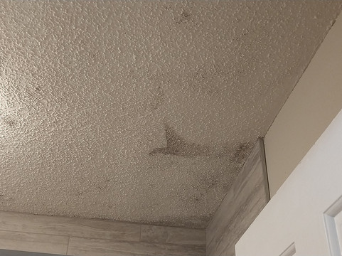 SureStay Plus By Best Western Jackson主图