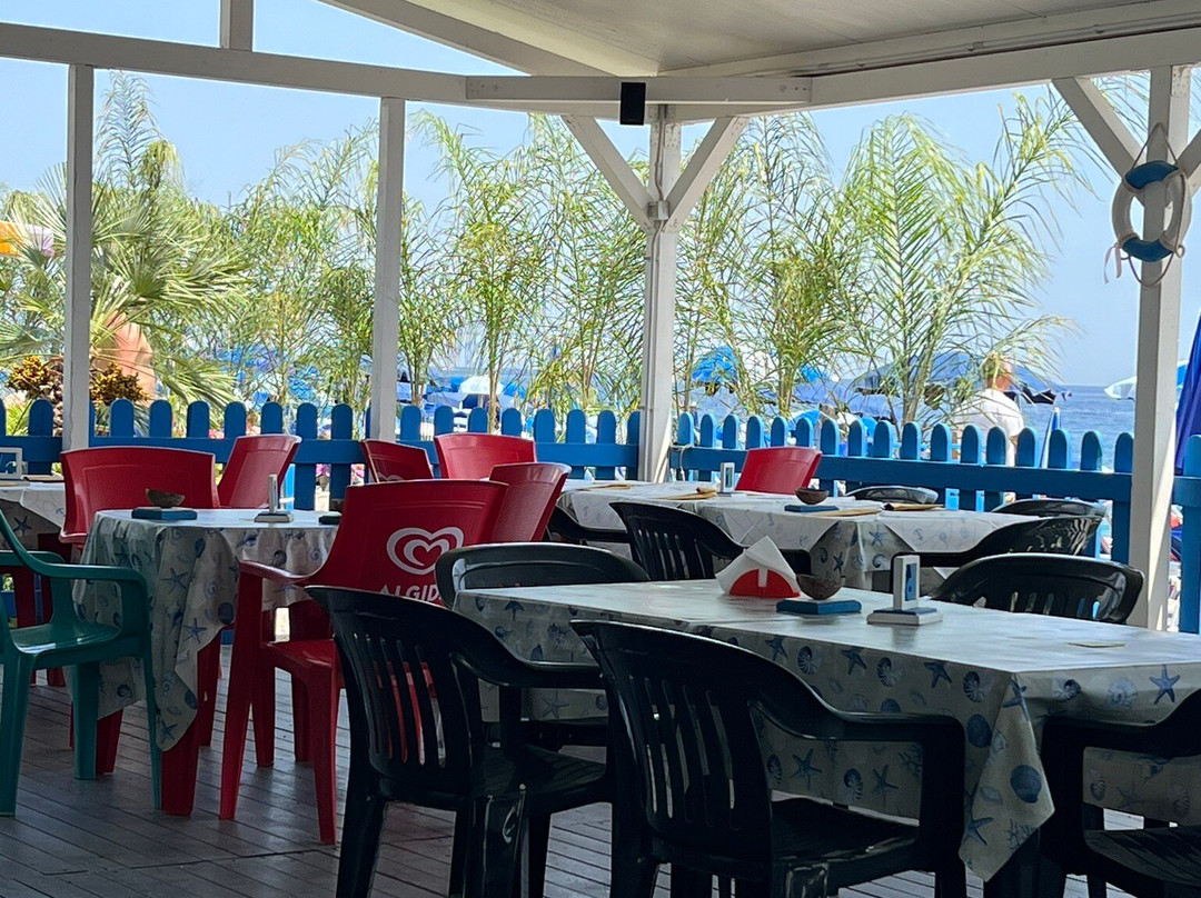 Lido Palm Beach景点图片