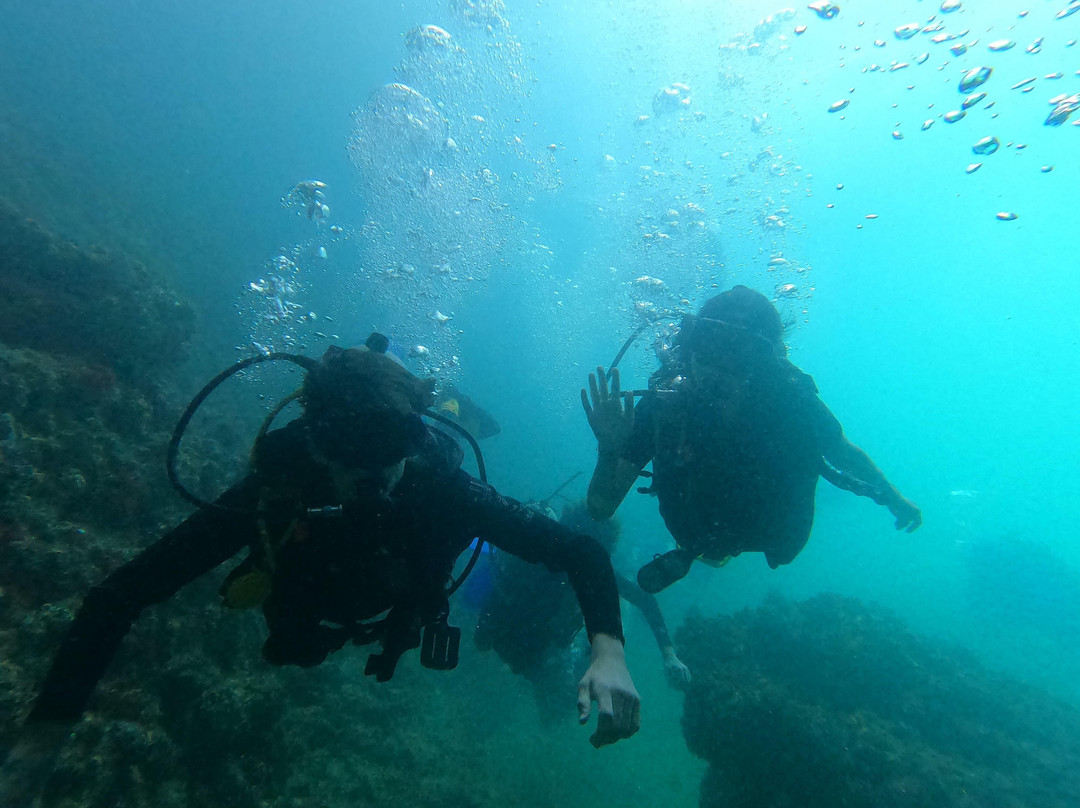 Scuba Steve-新瓦雅塔必去景点