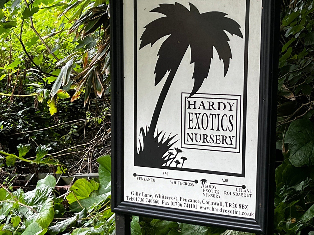 Hardy Exotics-彭赞斯必去景点