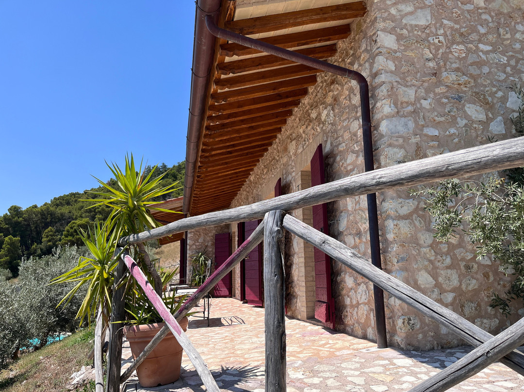 Agriturismo il Bastione主图