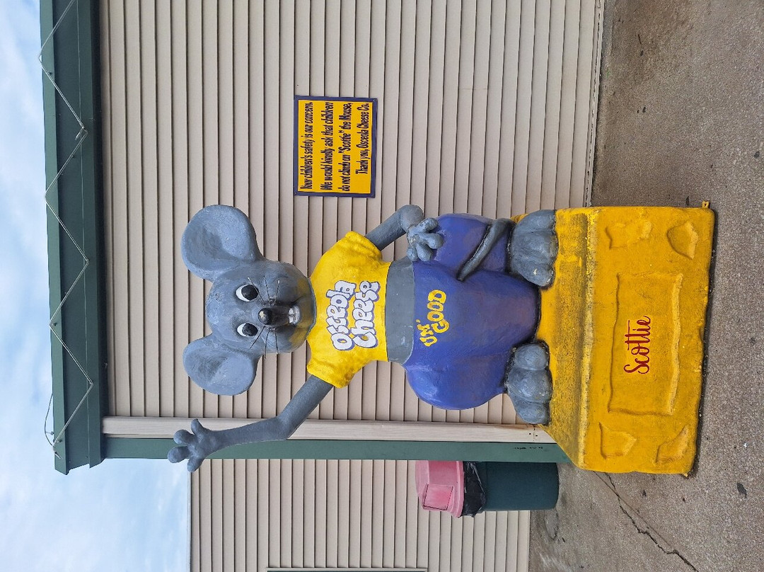 Osceola Cheese-Osceola必去景点