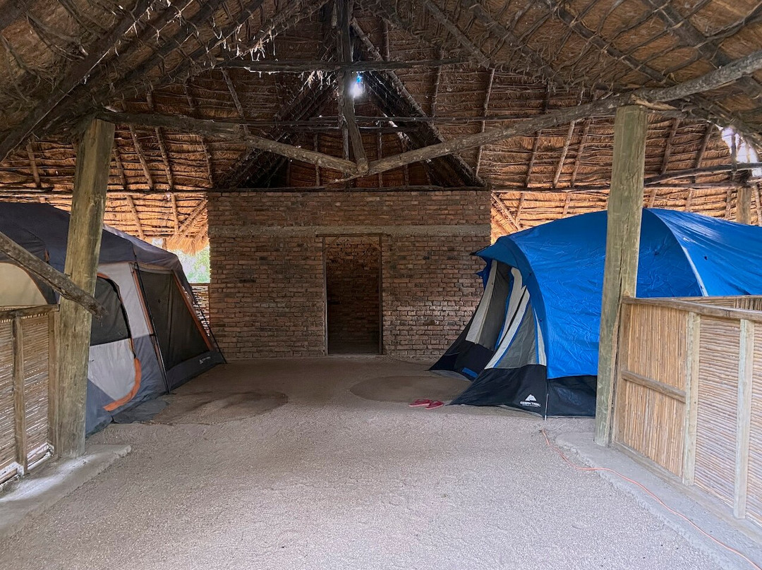 Chogela Safari Camp主图