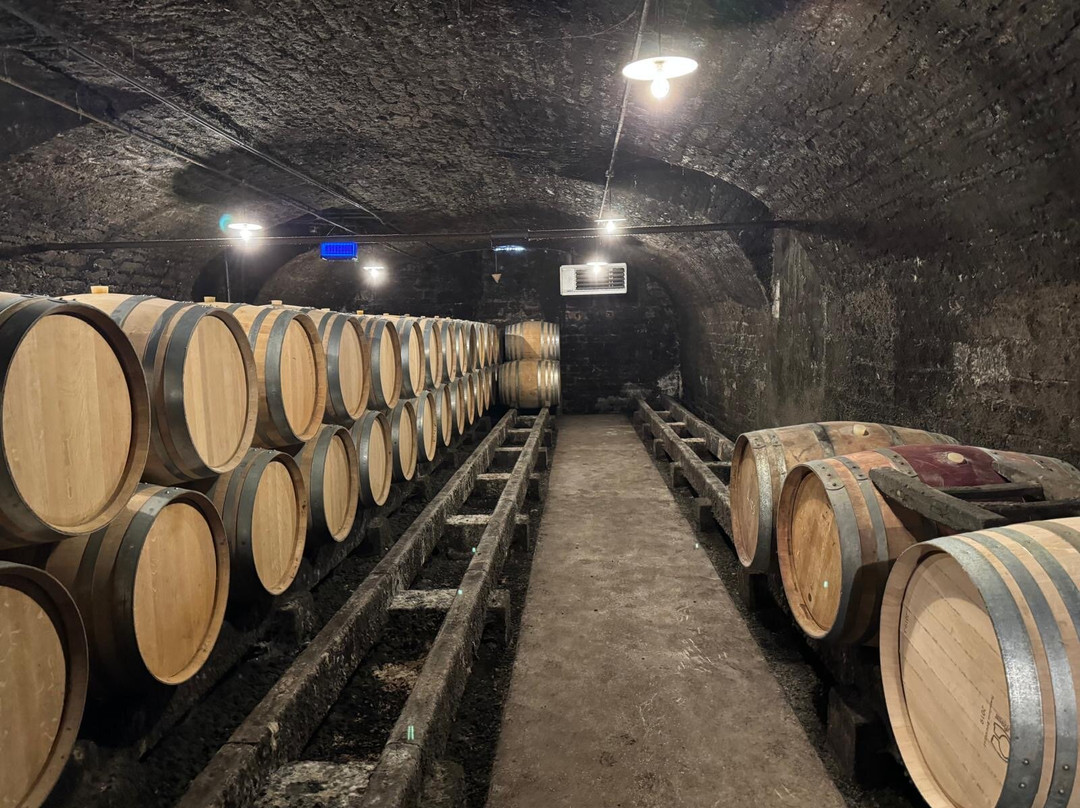 Domaine Bader-Mimeur-Chassagne-Montrachet必去景点
