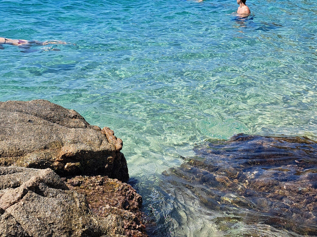 Playa Cala Sa Boadella景点图片
